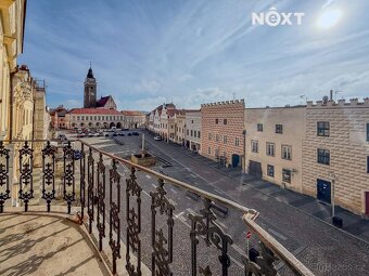 Prodej komerční Činžovní dům, 1 192㎡ - 15