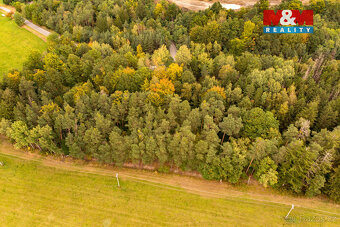 Prodej lesa, 39171 m², Ježovy - 15