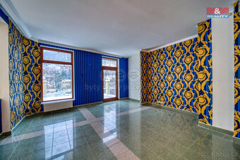 Prodej bytu 5+1, 365 m², Karlovy Vary, ul. Zámecký vrch - 15