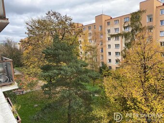 Prodej bytu 1+kk 24 m2 Jabloňová, Praha - Záběhlice - 15
