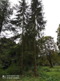 Stavební pozemek 4km od Adršpach/Teplice nad Metují - 15