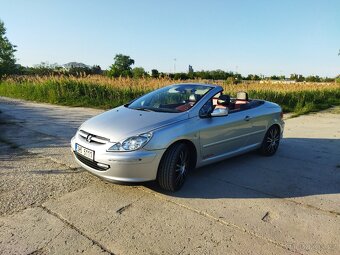 Peugeot 307CC - 15