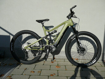 Argus Full - 15
