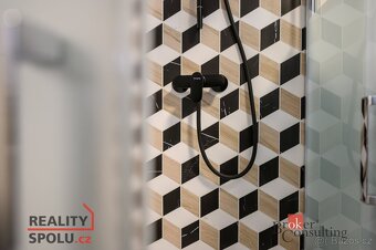 Pronájem, byty/1+kk, 44 m2, Železná 3061/10, Jižní Předměstí - 15