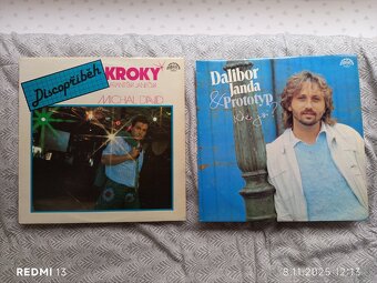 Gramofonové desky - 15