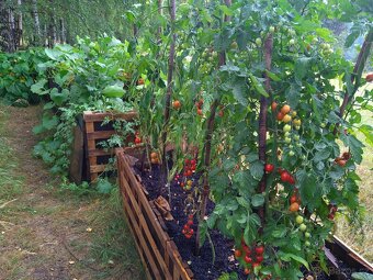 Zahrada/pozemek na Broumovsku - 15