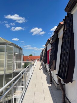Slunný byt 2+kk po rekonstrukci - Poděbrady - 15