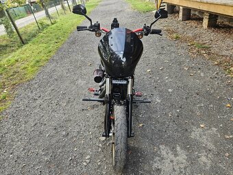 HARLEY DAVIDSON DYNA LOWRIDER S110 ScreamingeagleFXDLS2016 - 15