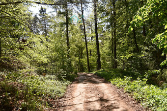 Prodej, Chata 40m2, Křížanovice - 15