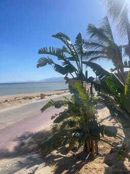 Apartmany na golfu Soma bay Egypt - 15