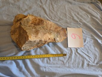 Zkamenělé dřevo do akvária - 15