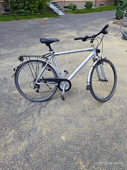 Kolo Triumph - 15