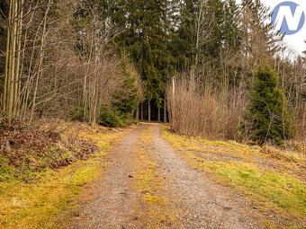 Prodej rodinného domu, 12.385 m2, Zdíkov - 15