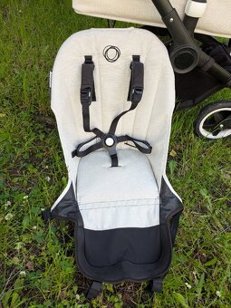 Buffalo Bugaboo - 15