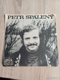 Prodám originální gramofonové desky, [c]. - 15
