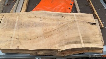 Jilmové suché fošny, sušeno 5,5 roku - 15