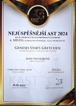 🐾 Americký stafordširský teriér – štěňátka s PP k rezervaci - 15