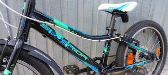 Superior Paint 20" - 15
