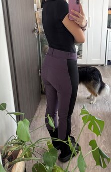 Eskadron sada, kentaur sada, Horze rajtky.. - 15