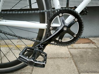 Kolo TRIBE - Singlespeed/Fixie - (54 cm) - 15
