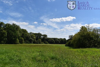 Prodej, pozemek s rybníky, Božetice - 15