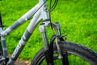 Horské kolo Giant Terrago - 15