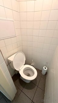 Pronájem obchodního prostoru 128m2 v centru města - 15