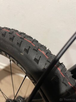 Naloo Mountain Jack 20, jako Moritz 20, Frechdax 20 - 15