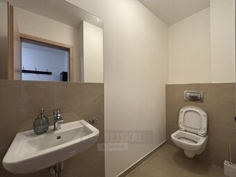 Pronájem bytu 3+kk 75 m², České Budějovice - 15