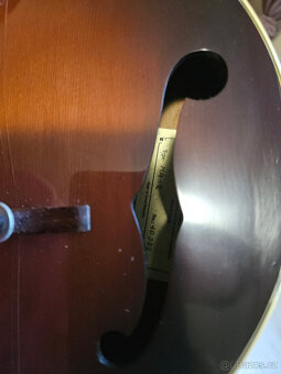 Celomasivní mandolína FURCH Ma 2 A - 15