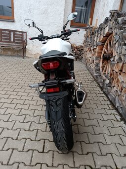 HONDA CB 750 HORNET ABS - 15