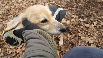VIKY & ZORKA - umazlené babičky čekají na svého anděla - 15