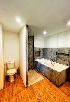 Areál k všestrannému využití  mezi TP a UL  u Rtyně nad Bíli - 15