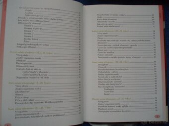 knihy pro předškolní výchovu-výchova LEVÁKŮ v rodině - 15