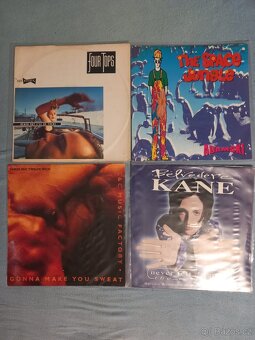 Zahraniční gramodesky hudba 66ks - 15