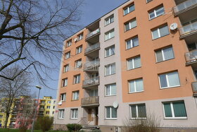 Prodej slunného bytu 3+1 v Plzni na Doubravce s krásným výhl - 15