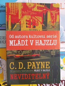 OBLÍBENÉ NOVÉ KNIHY ZA 99KČ ZA KUS, 2+1 ZDARMA - 15