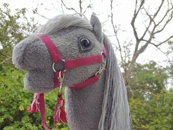Hobby horse se stříbrnou hřívou - 15