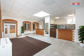 Pronájem komerčního objektu, 635 m², Vřesina - 15