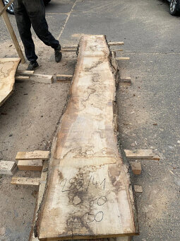 Dubové fošny 50 mm (suché 10%) - 15