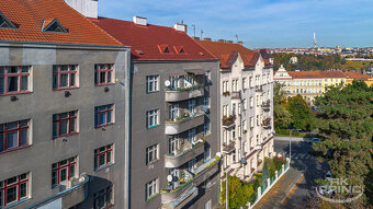 PRODEJ BYTU 2+1/3+kk, 89 m², BALKON + LODŽIE, POD SOKOLOVNO - 15