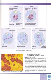 Biologie buněk – Závodská v PDF, e-kniha - 15