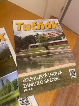 Jedinečný podnájem 3+kk v srdci zeleně Prahy 4 – Lhotka - 15