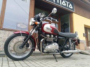 Triumph  Bonneville T 100 - 15