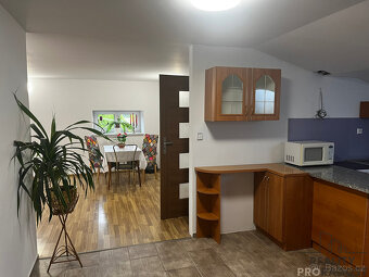 Pronájem bytu 130 m2  v RD Dolní Domaslavice - 15