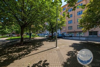 Pronájem nezařízeného bytu 3+1/2xB 98 m², metro =A= Dejvická - 15