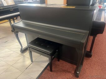 Schimmel se zárukou 2 roky,  doprava zdarma, PRODÁNO - 15