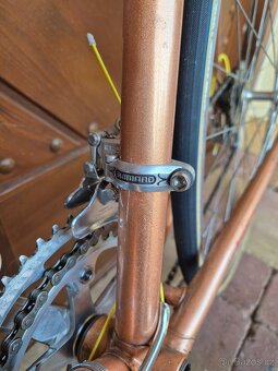 Favorit Special 1983 - 15