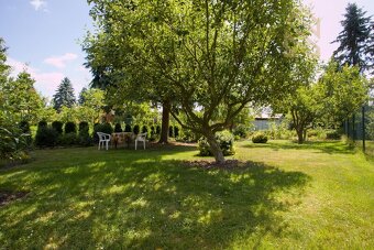 Prodej, zahrady, 454 m2, Kamený Pahorek, Košťany - 15