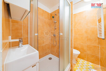 Pronájem bytu 1+kk, 19 m², Aš, ul. Dobrovského - 15